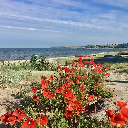 Haus Concordia 2 Freiraum Appartement *