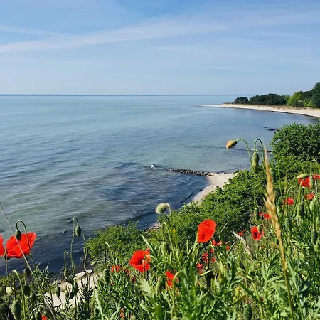 Haus Concordia 2 Freiraum Appartement