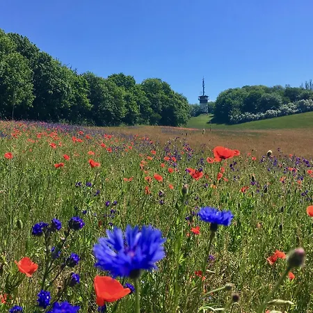 Haus Concordia 2 Freiraum *